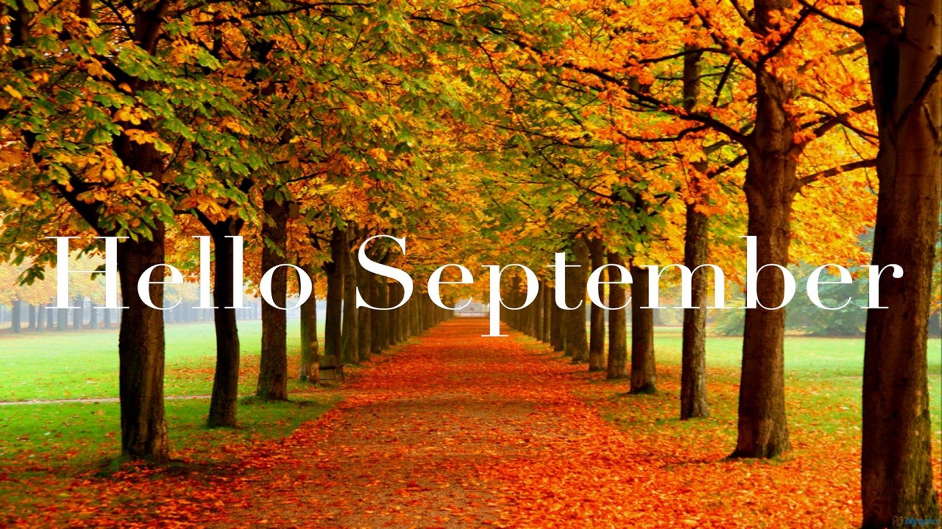 September