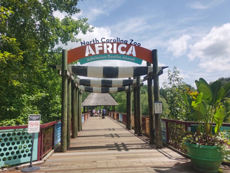 Zoo Wisdom: Be Unapologetically You